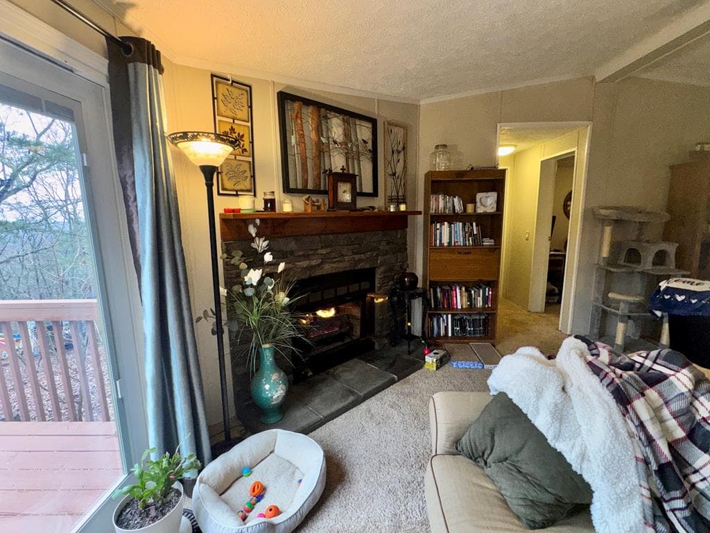 424 Mountain Oak Trail, Jasper GA 30143 - Photo