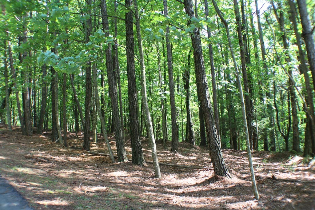 Lot 36R Lake View Lane, Ellijay GA 30536 - Photo