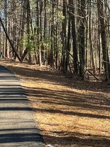 Lot 36R Lake View Lane, Ellijay GA 30536 - Photo