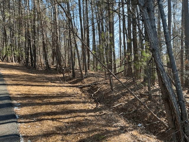 Lot 36R Lake View Lane, Ellijay GA 30536 - Photo