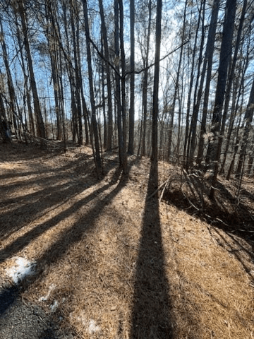 Lot 36R Lake View Lane, Ellijay GA 30536 - Photo