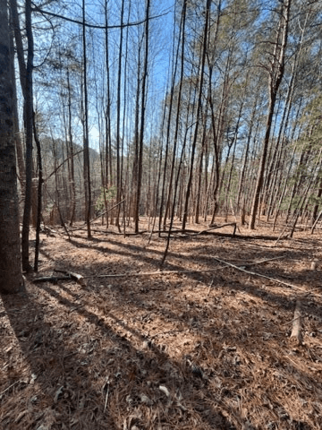 Lot 36R Lake View Lane, Ellijay GA 30536 - Photo