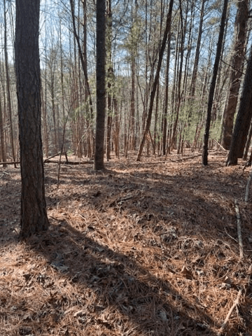 Lot 36R Lake View Lane, Ellijay GA 30536 - Photo