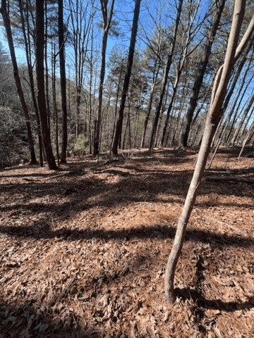 Lot 36R Lake View Lane, Ellijay GA 30536 - Photo