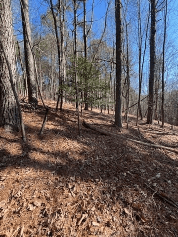 Lot 36R Lake View Lane, Ellijay GA 30536 - Photo