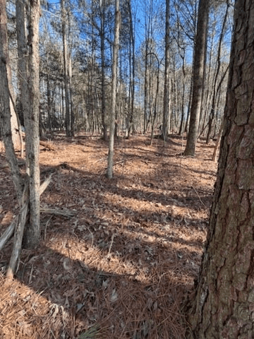 Lot 36R Lake View Lane, Ellijay GA 30536 - Photo