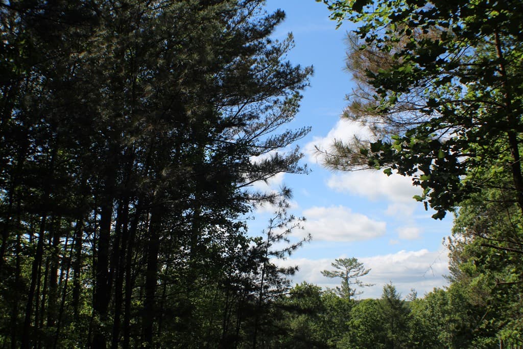 Lot 36R Lake View Lane, Ellijay GA 30536 - Photo