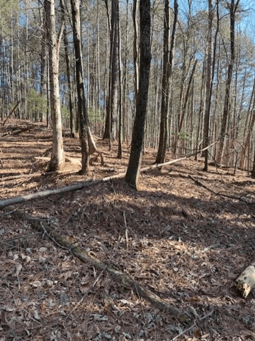 Lot 36R Lake View Lane, Ellijay GA 30536 - Photo