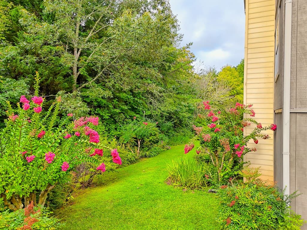 300 Ginger Creek Lane, Clayton GA 30525 - Photo