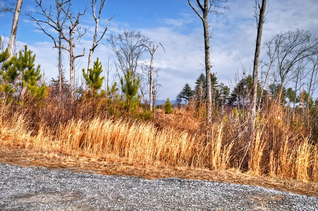 28 Mountaintown Overlook, Ellijay GA 30540 - Photo