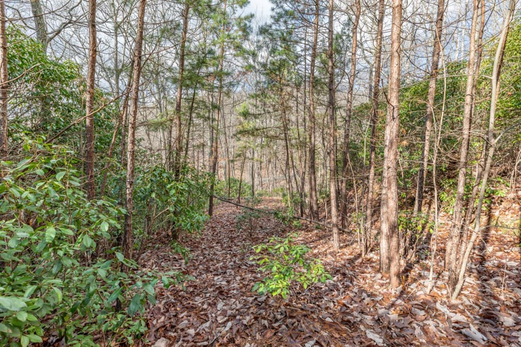 Lot 7 Squirrel Hunting Road, Morganton GA 30560 - Photo