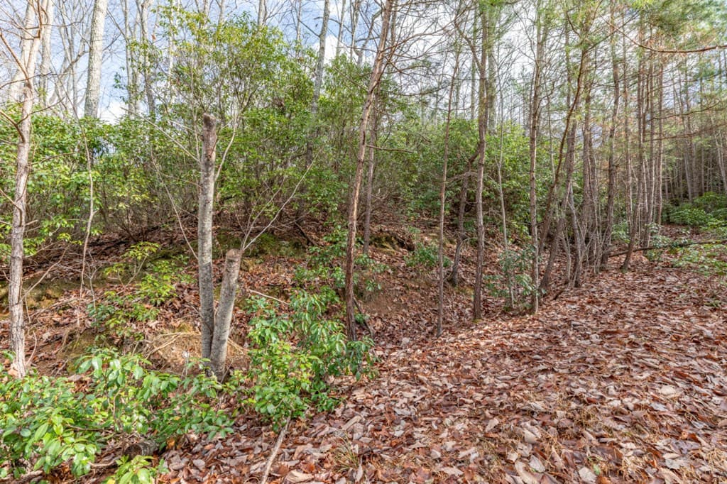 Lot 7 Squirrel Hunting Road, Morganton GA 30560 - Photo