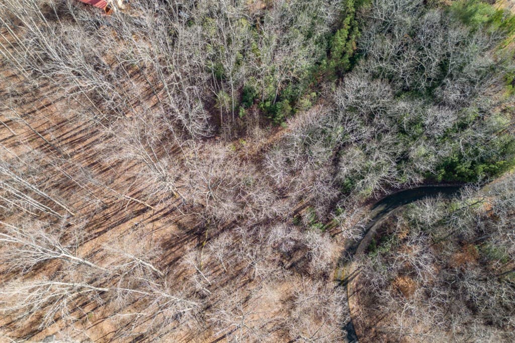 Lot 7 Squirrel Hunting Road, Morganton GA 30560 - Photo