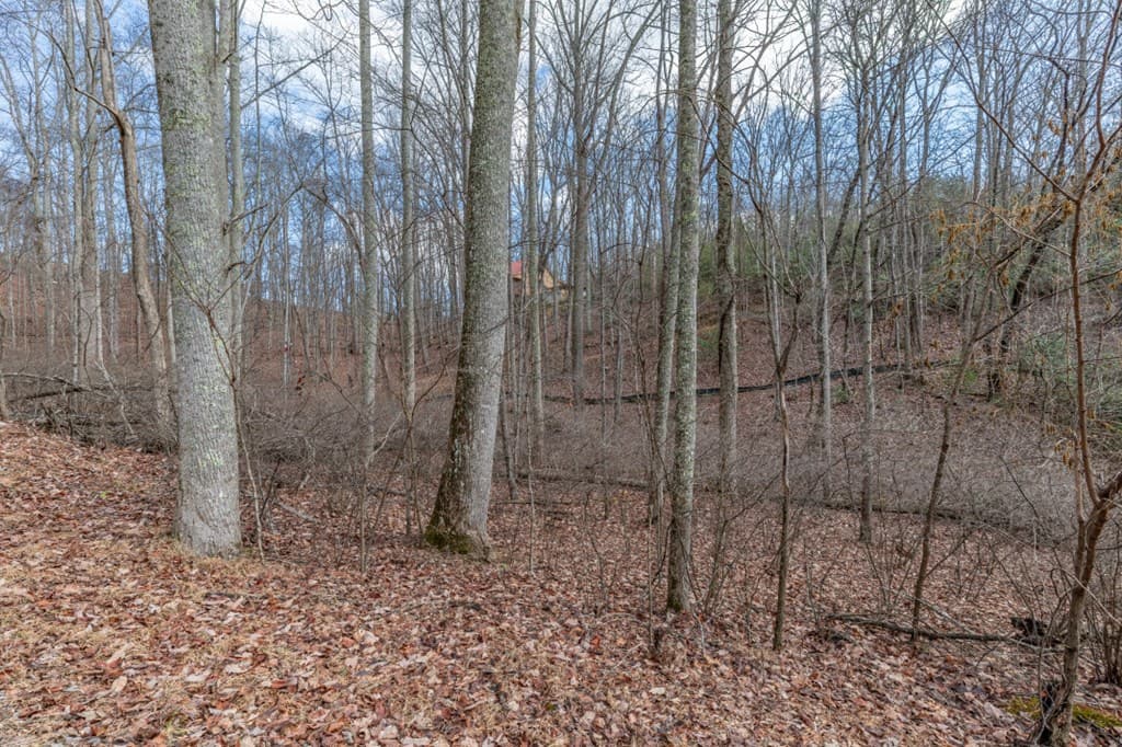 Lot 7 Squirrel Hunting Road, Morganton GA 30560 - Photo
