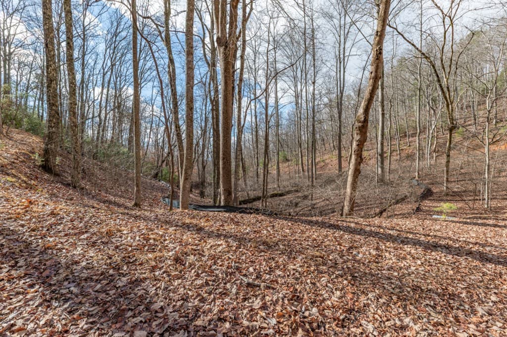 Lot 7 Squirrel Hunting Road, Morganton GA 30560 - Photo