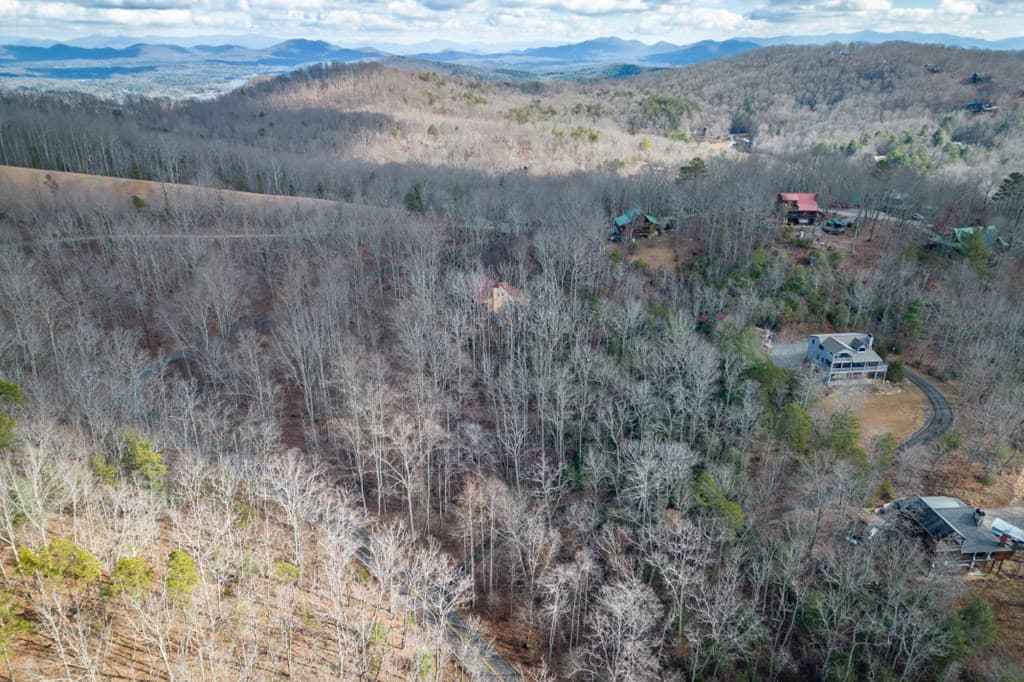 Lot 7 Squirrel Hunting Road, Morganton GA 30560 - Photo