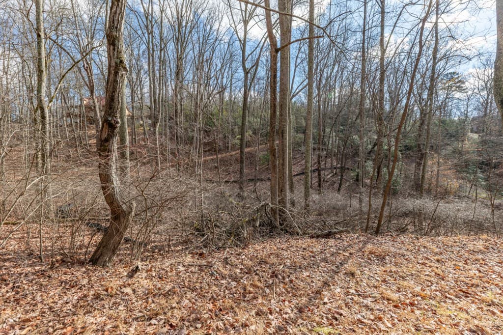 Lot 7 Squirrel Hunting Road, Morganton GA 30560 - Photo