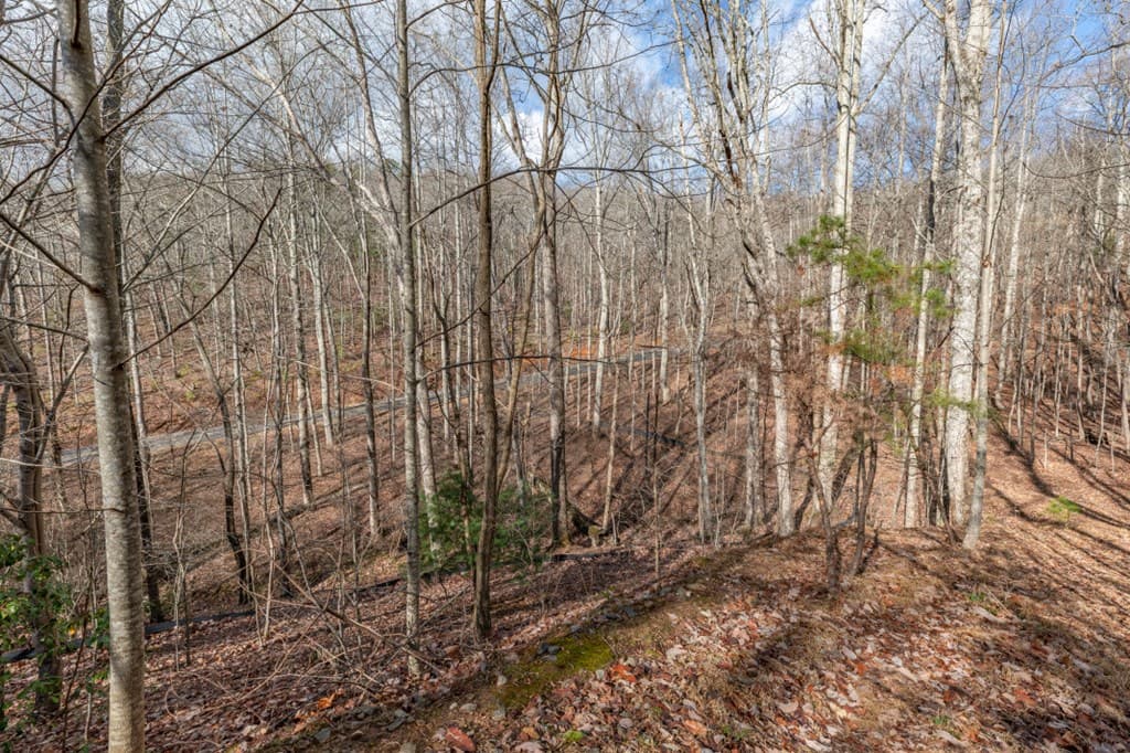 Lot 7 Squirrel Hunting Road, Morganton GA 30560 - Photo