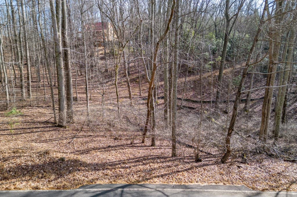 Lot 7 Squirrel Hunting Road, Morganton GA 30560 - Photo