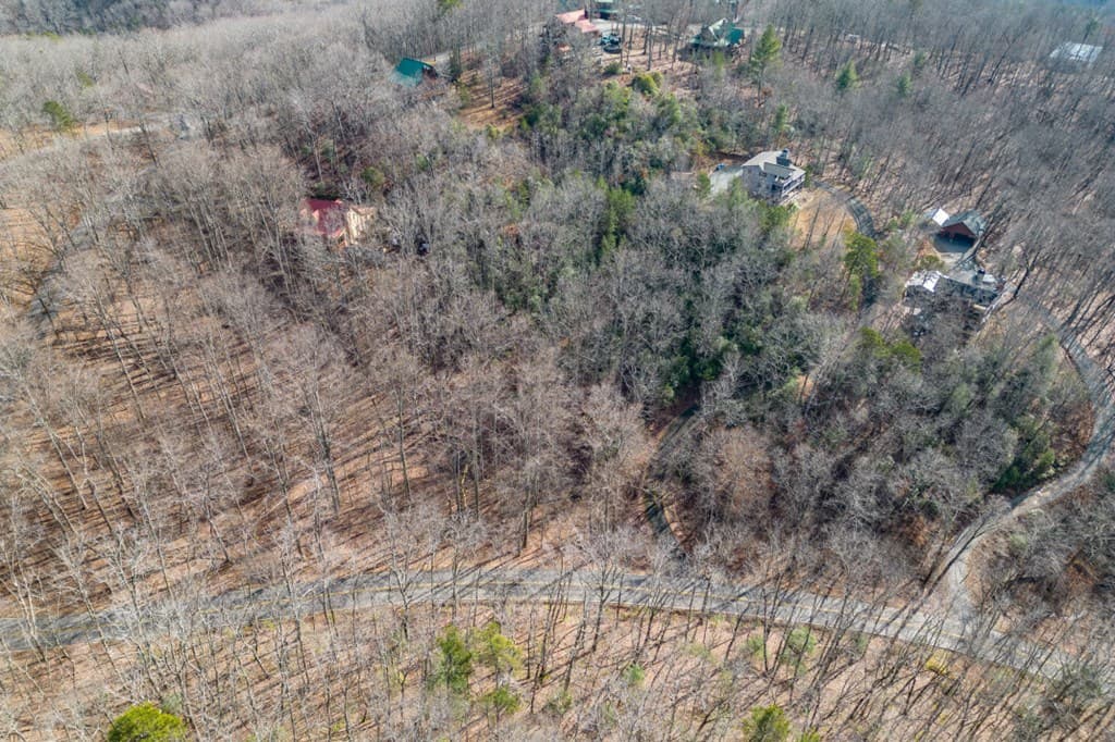 Lot 7 Squirrel Hunting Road, Morganton GA 30560 - Photo
