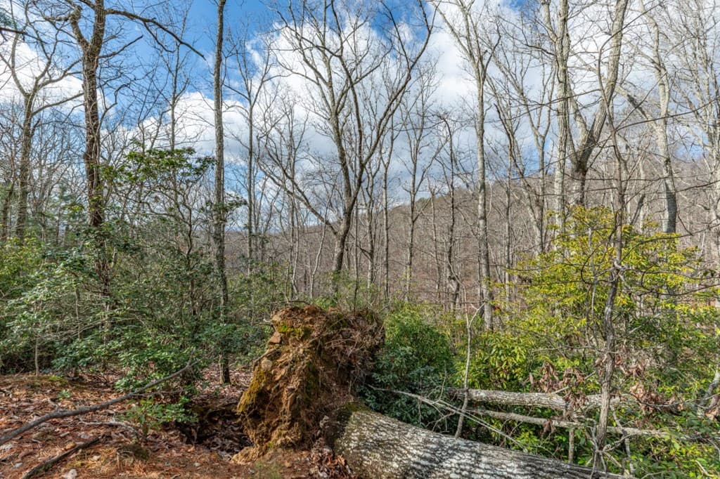 Lot 7 Squirrel Hunting Road, Morganton GA 30560 - Photo
