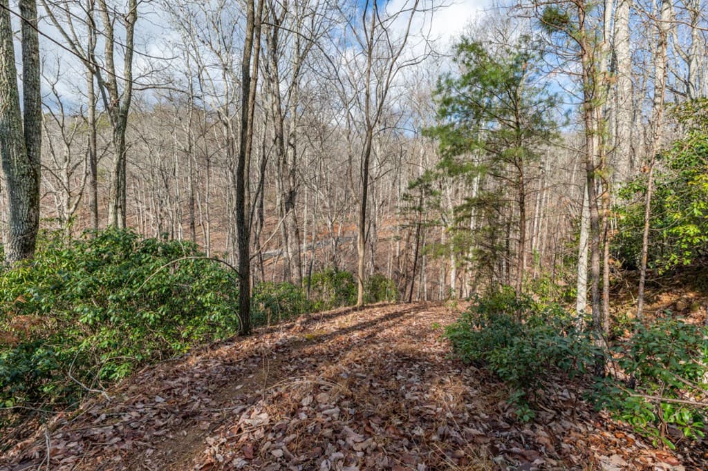 Lot 7 Squirrel Hunting Road, Morganton GA 30560 - Photo