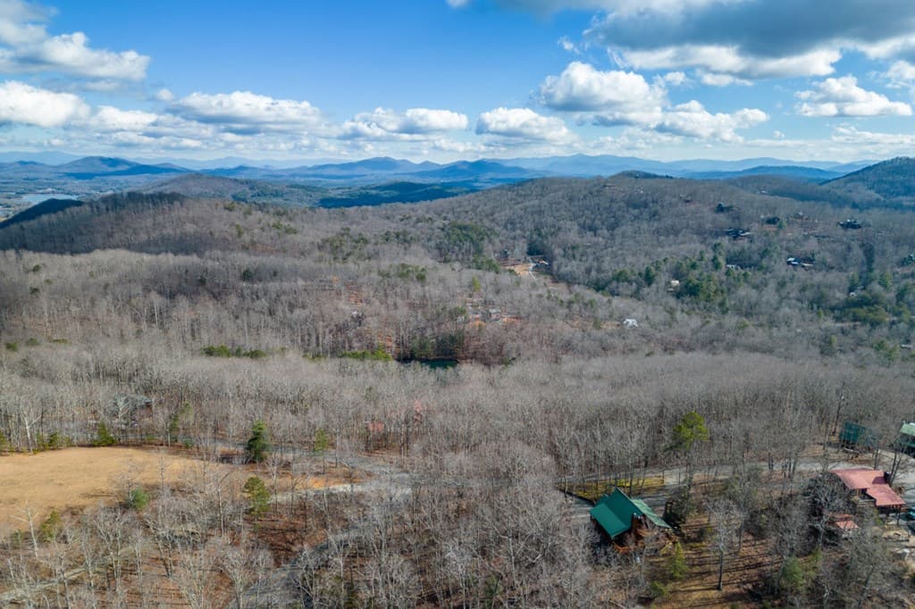 Lot 7 Squirrel Hunting Road, Morganton GA 30560 - Photo