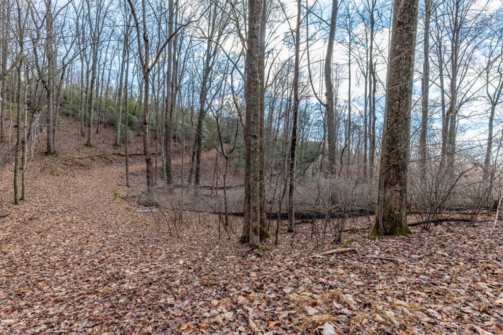 Lot 7 Squirrel Hunting Road, Morganton GA 30560 - Photo