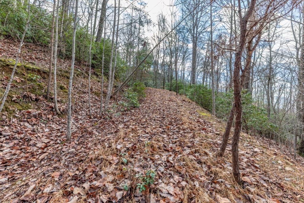 Lot 7 Squirrel Hunting Road, Morganton GA 30560 - Photo