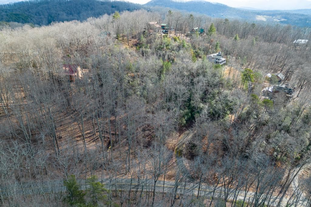 Lot 7 Squirrel Hunting Road, Morganton GA 30560 - Primary photo
