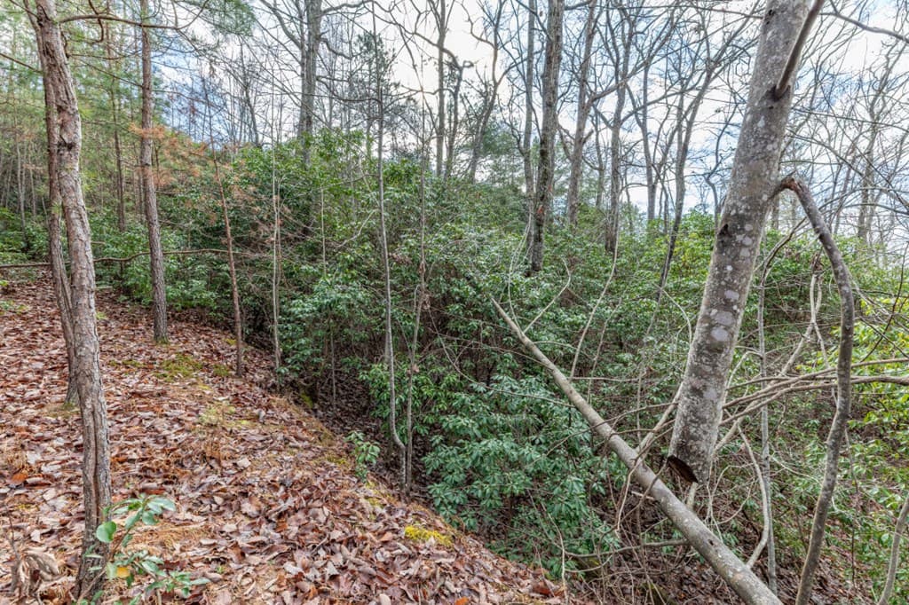 Lot 7 Squirrel Hunting Road, Morganton GA 30560 - Photo