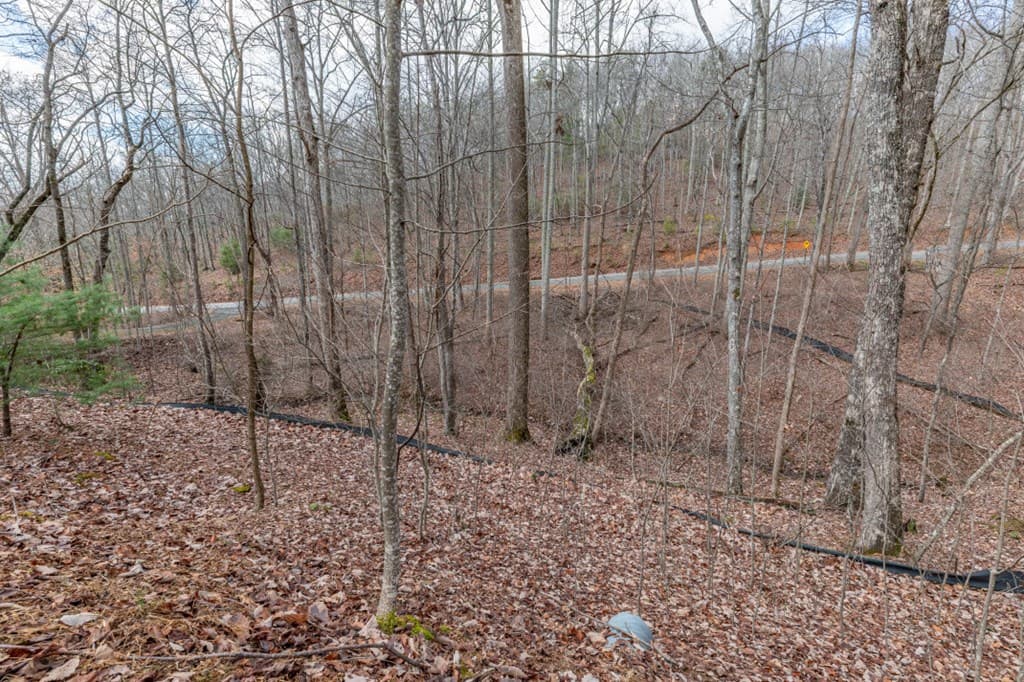 Lot 7 Squirrel Hunting Road, Morganton GA 30560 - Photo