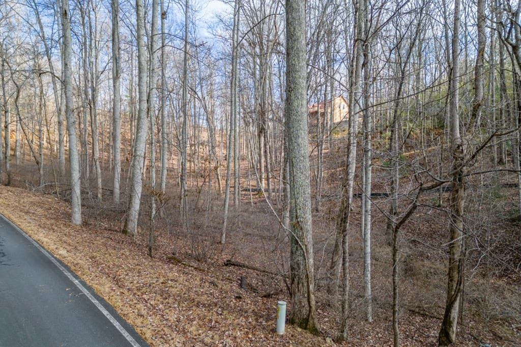 Lot 7 Squirrel Hunting Road, Morganton GA 30560 - Photo