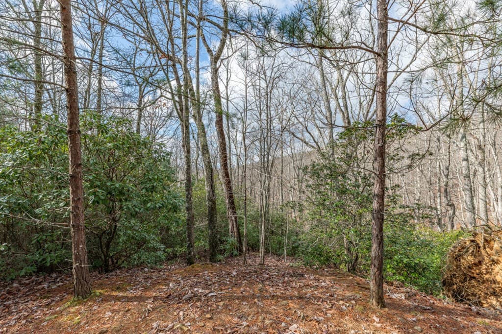 Lot 7 Squirrel Hunting Road, Morganton GA 30560 - Photo