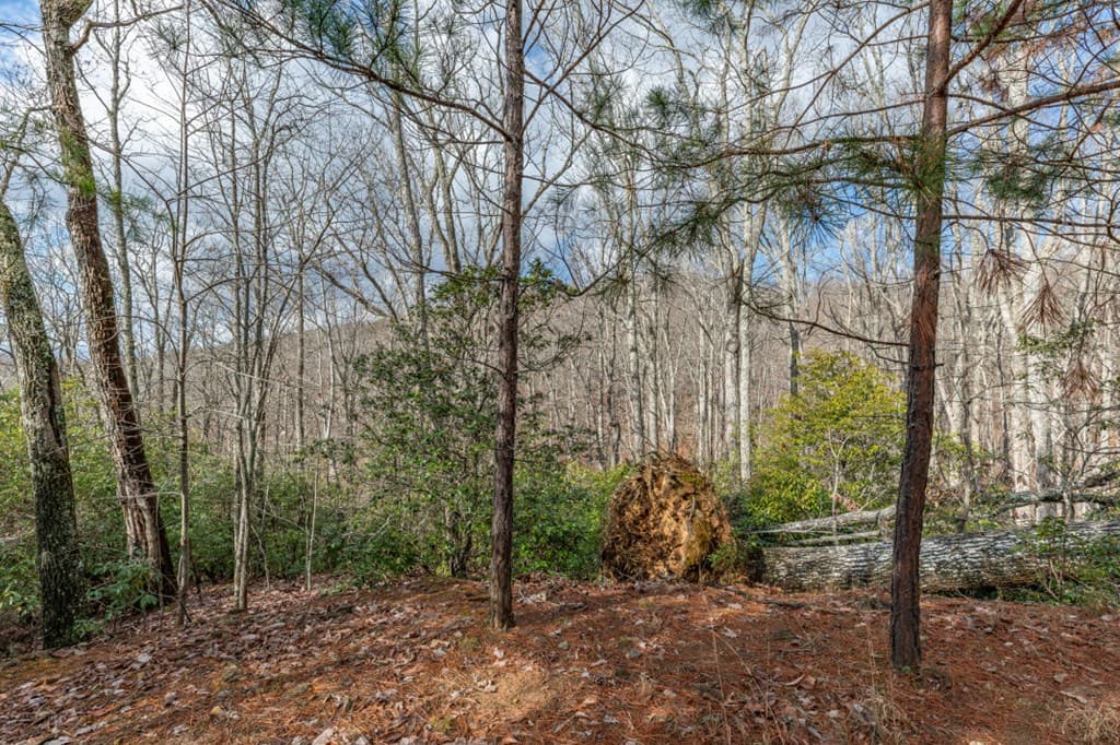 Lot 7 Squirrel Hunting Road, Morganton GA 30560 - Photo