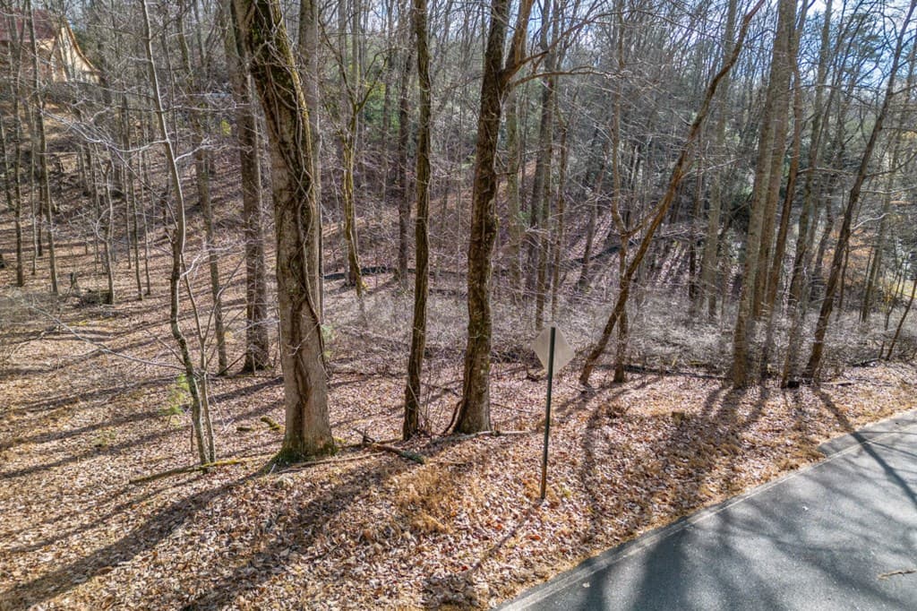Lot 7 Squirrel Hunting Road, Morganton GA 30560 - Photo