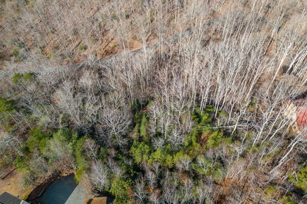 Lot 7 Squirrel Hunting Road, Morganton GA 30560 - Photo