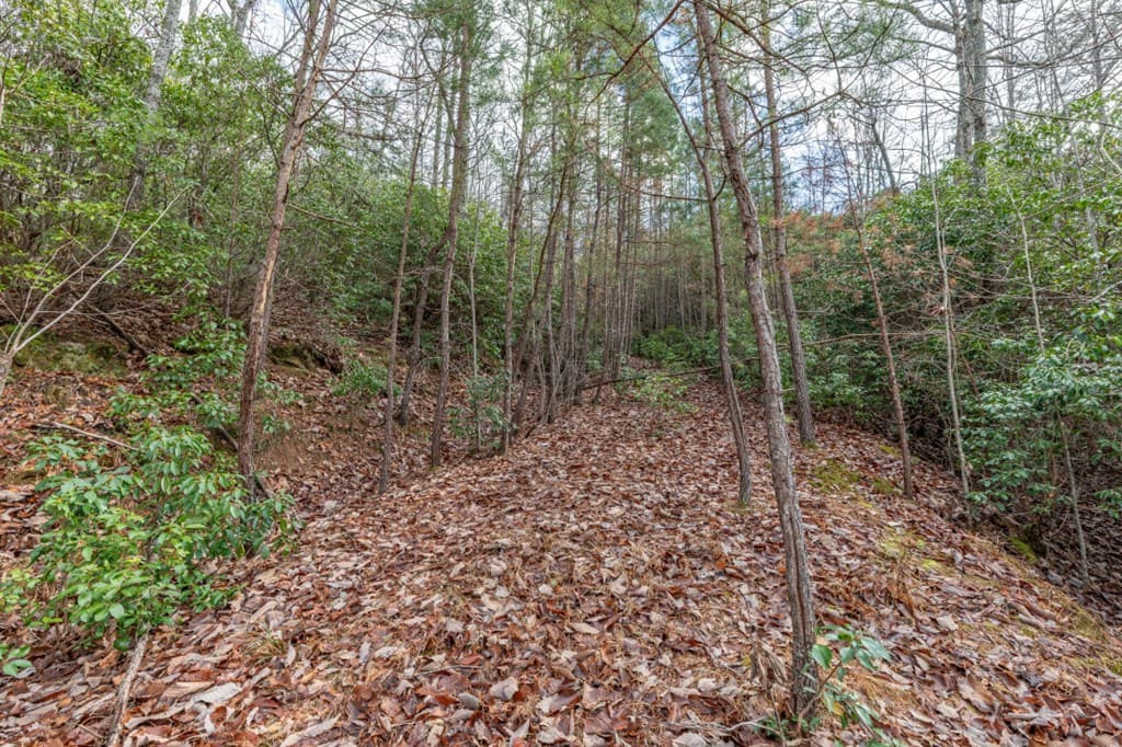 Lot 7 Squirrel Hunting Road, Morganton GA 30560 - Photo