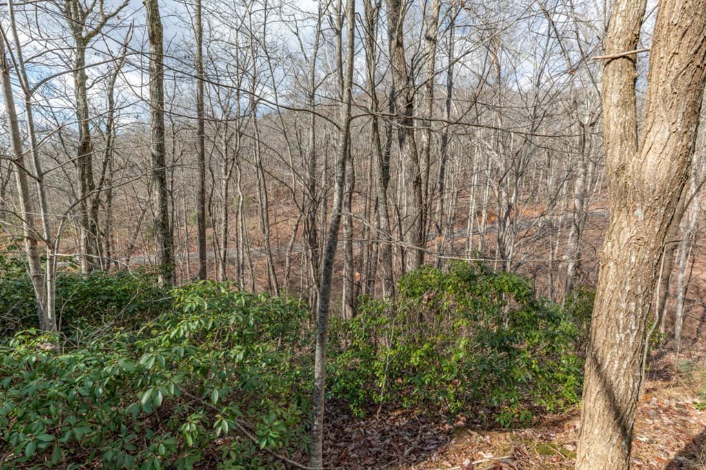 Lot 7 Squirrel Hunting Road, Morganton GA 30560 - Photo