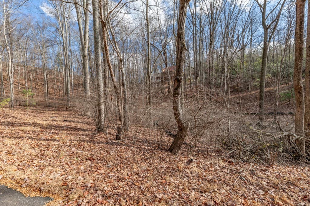 Lot 7 Squirrel Hunting Road, Morganton GA 30560 - Photo