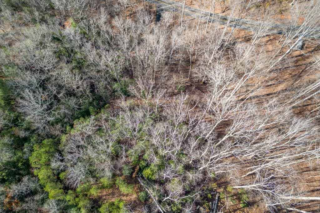 Lot 7 Squirrel Hunting Road, Morganton GA 30560 - Photo