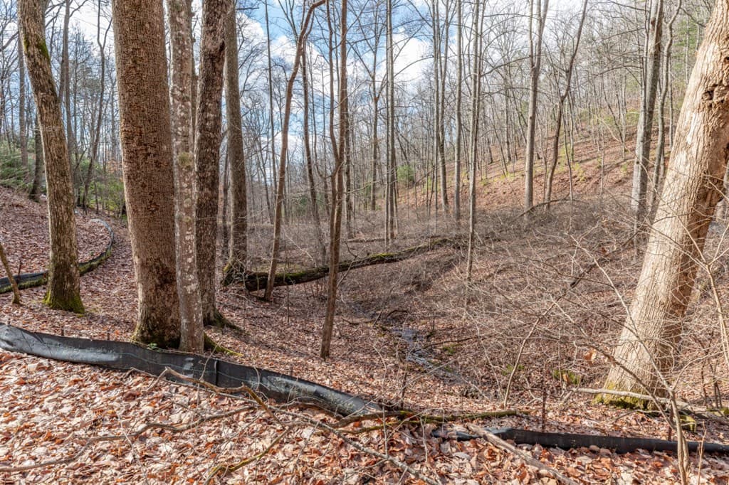 Lot 7 Squirrel Hunting Road, Morganton GA 30560 - Photo