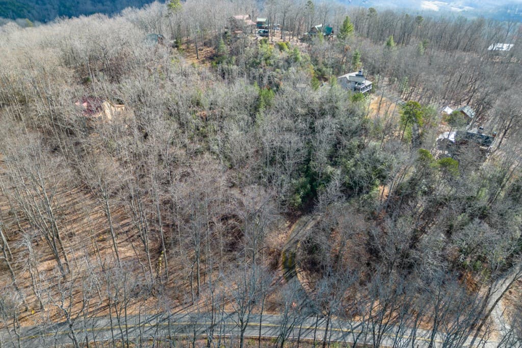 Lot 7 Squirrel Hunting Road, Morganton GA 30560 - Photo