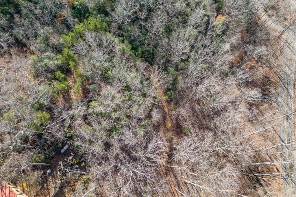 Lot 7 Squirrel Hunting Road, Morganton GA 30560 - Photo