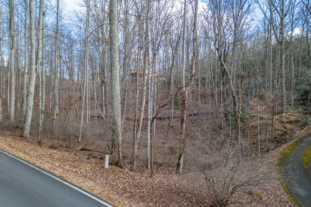 Lot 7 Squirrel Hunting Road, Morganton GA 30560 - Photo
