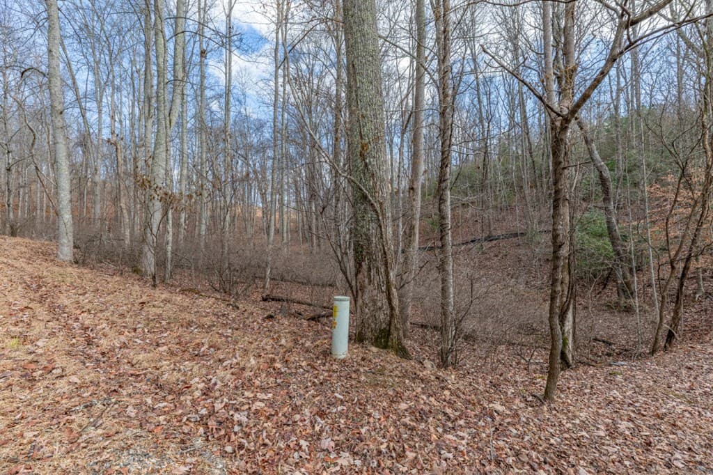 Lot 7 Squirrel Hunting Road, Morganton GA 30560 - Photo