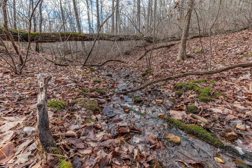Lot 7 Squirrel Hunting Road, Morganton GA 30560 - Photo