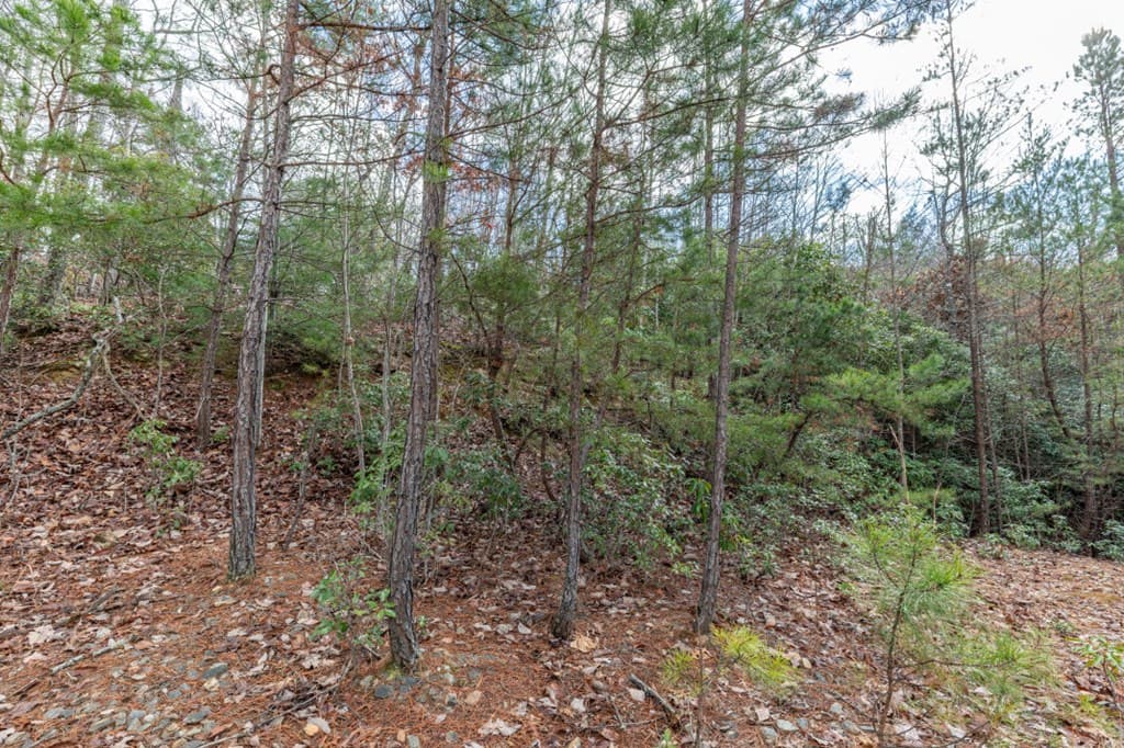 Lot 7 Squirrel Hunting Road, Morganton GA 30560 - Photo