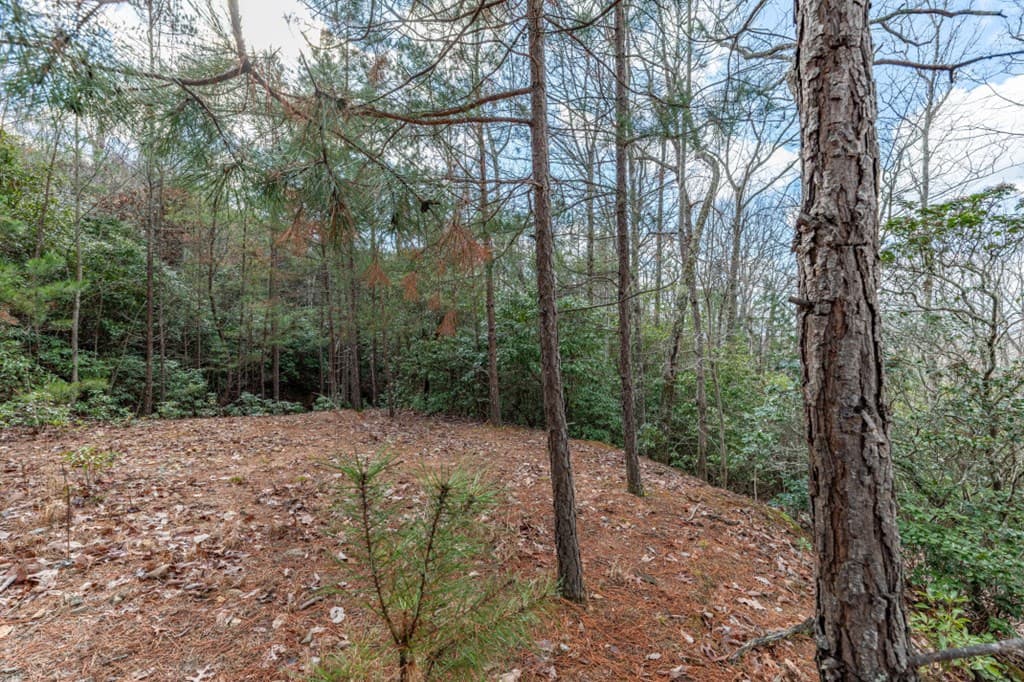Lot 7 Squirrel Hunting Road, Morganton GA 30560 - Photo
