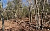 0 Ashlyn Court, Morganton GA 30560 - Photo